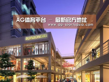案例展示一(图1)